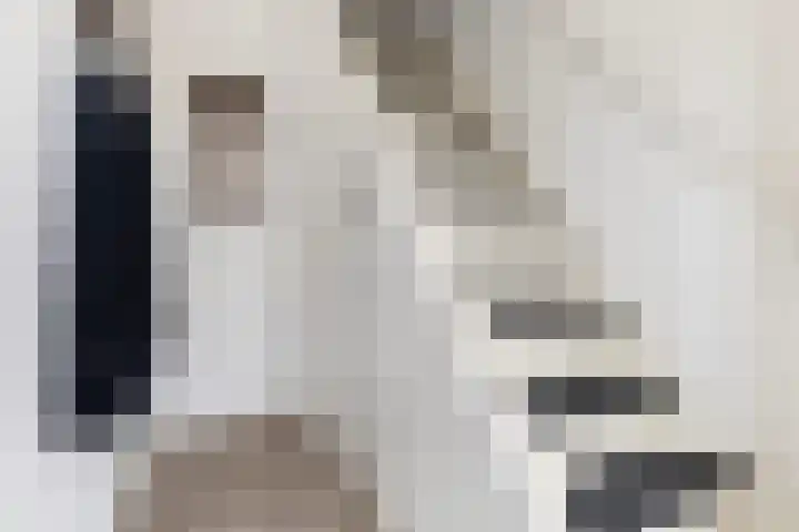 Zw.Kooistraat 38 Stroobos thumbnail 14
