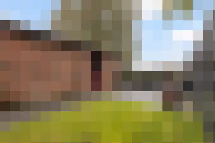Zw.Kooistraat 38 Stroobos thumbnail 24