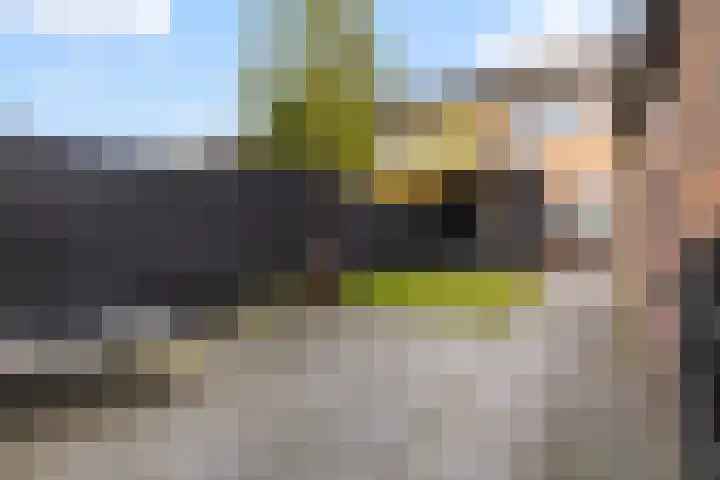 Zw.Kooistraat 38 Stroobos thumbnail 25