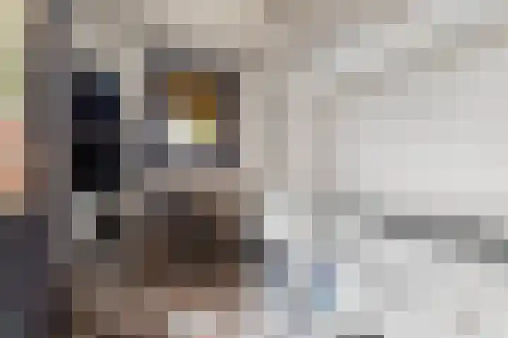 Zw.Kooistraat 38 Stroobos thumbnail 31