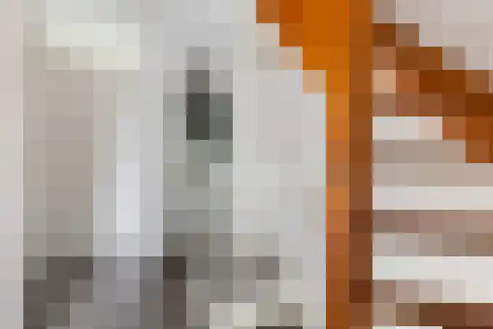 Zw.Kooistraat 38 Stroobos thumbnail 33
