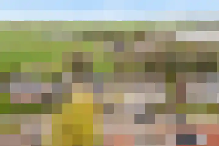 Zw.Kooistraat 38 Stroobos thumbnail 5