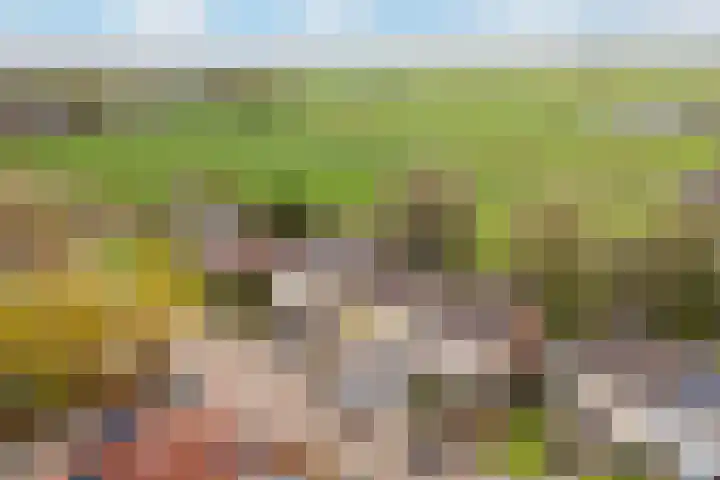 Zw.Kooistraat 38 Stroobos thumbnail 6