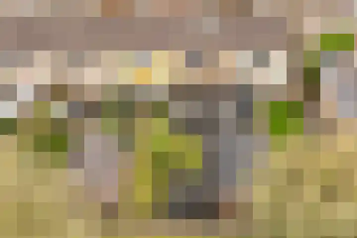 Zw.Kooistraat 38 Stroobos thumbnail 8