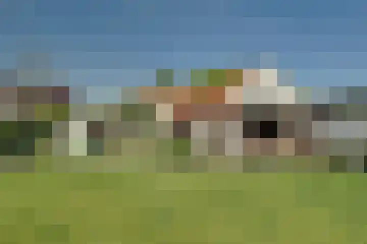 Zwaagdijk 103 Zwaagdijk-Oost thumbnail 47