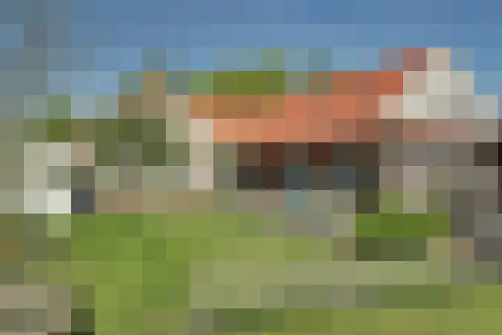 Zwaagdijk 103 Zwaagdijk-Oost thumbnail 5
