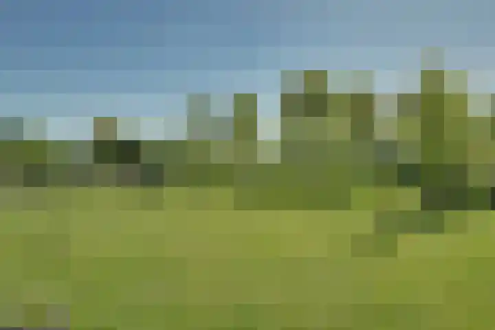 Zwaagdijk 103 Zwaagdijk-Oost thumbnail 51