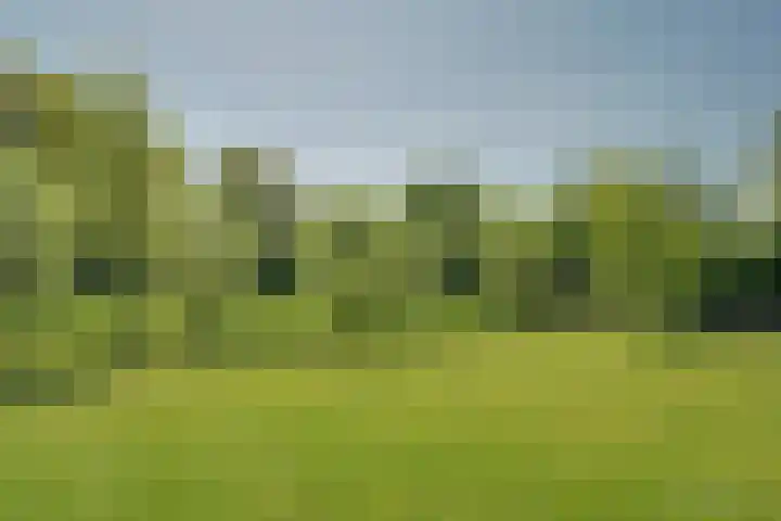Zwaagdijk 103 Zwaagdijk-Oost thumbnail 52