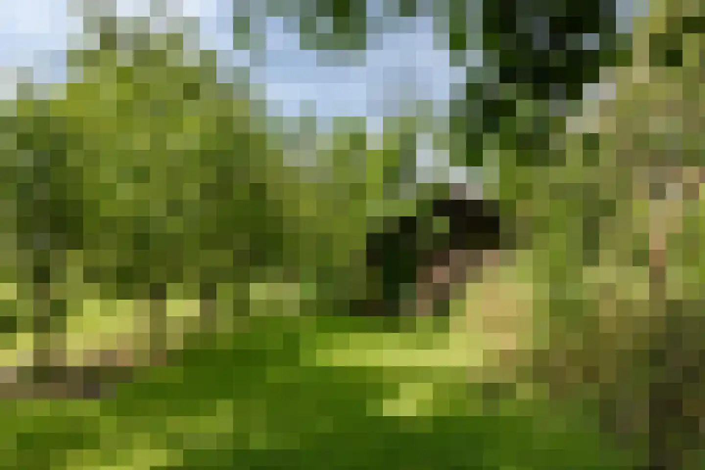 Zwaagdijk 16 Zwaagdijk-Oost thumbnail 10