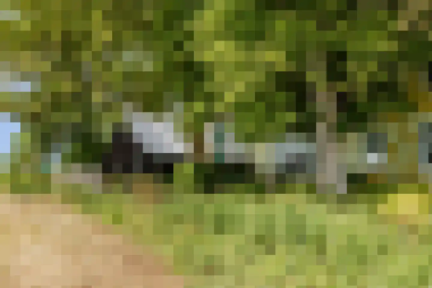 Zwaagdijk 16 Zwaagdijk-Oost thumbnail 29