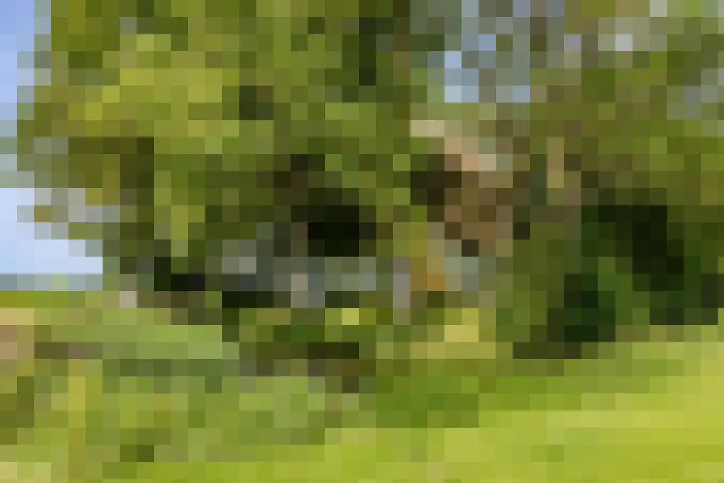 Zwaagdijk 16 Zwaagdijk-Oost thumbnail 30
