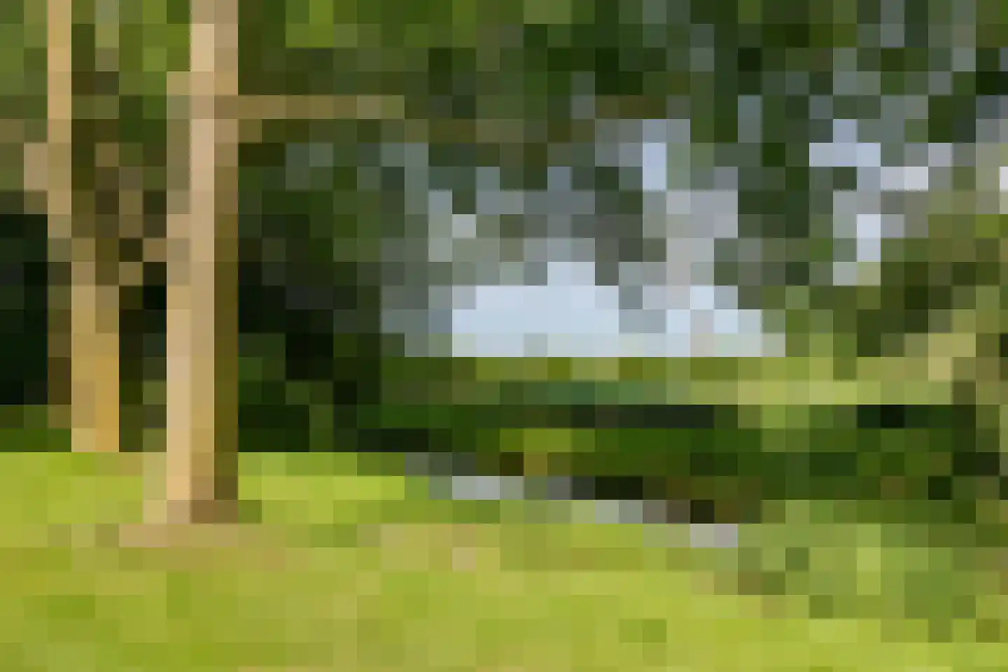 Zwaagdijk 16 Zwaagdijk-Oost thumbnail 31