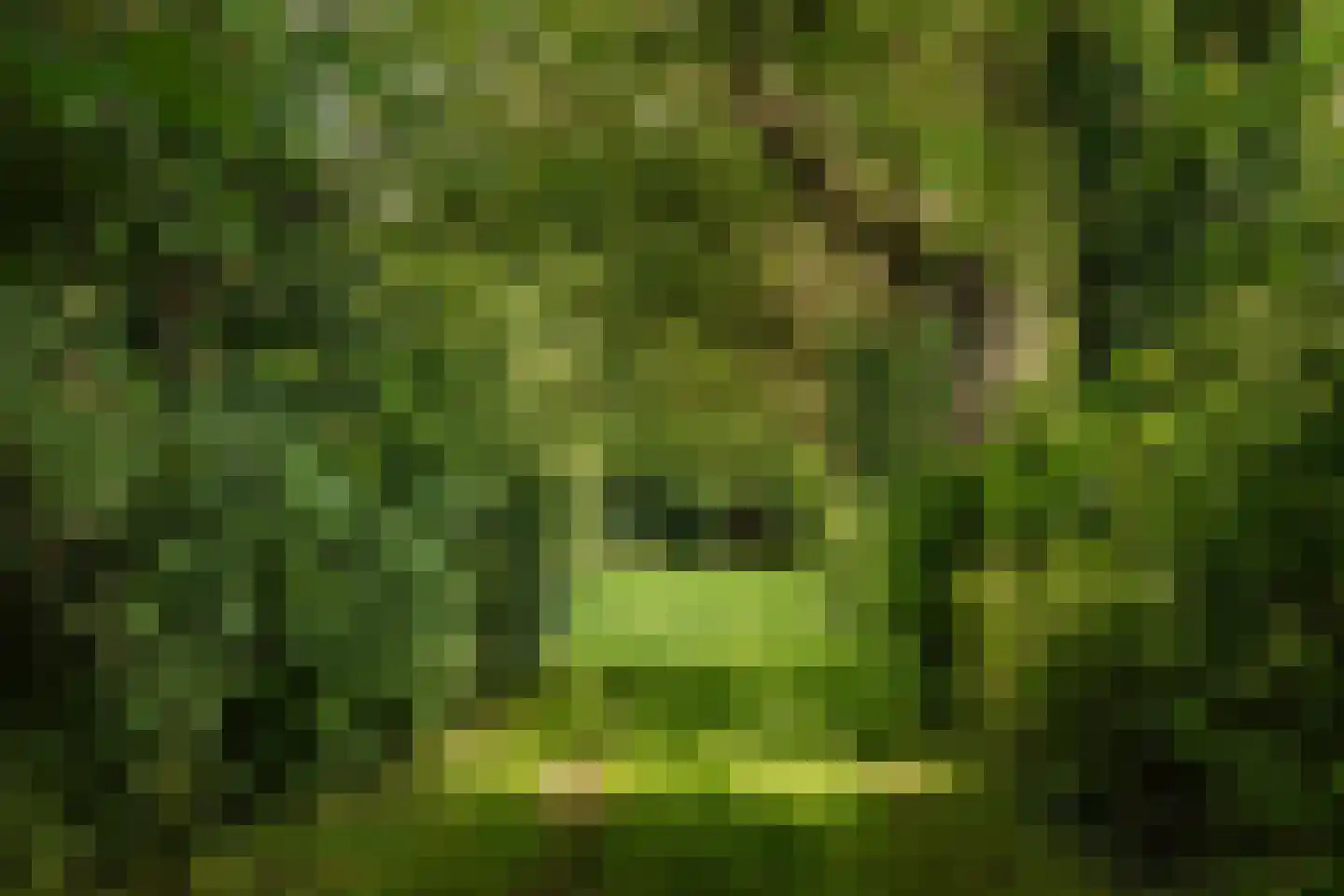 Zwaagdijk 16 Zwaagdijk-Oost thumbnail 32