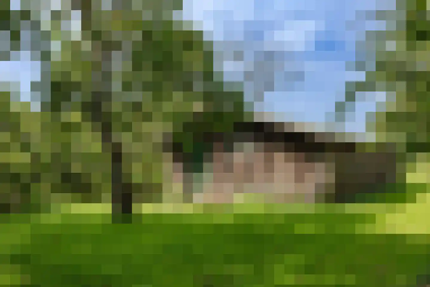 Zwaagdijk 16 Zwaagdijk-Oost thumbnail 34