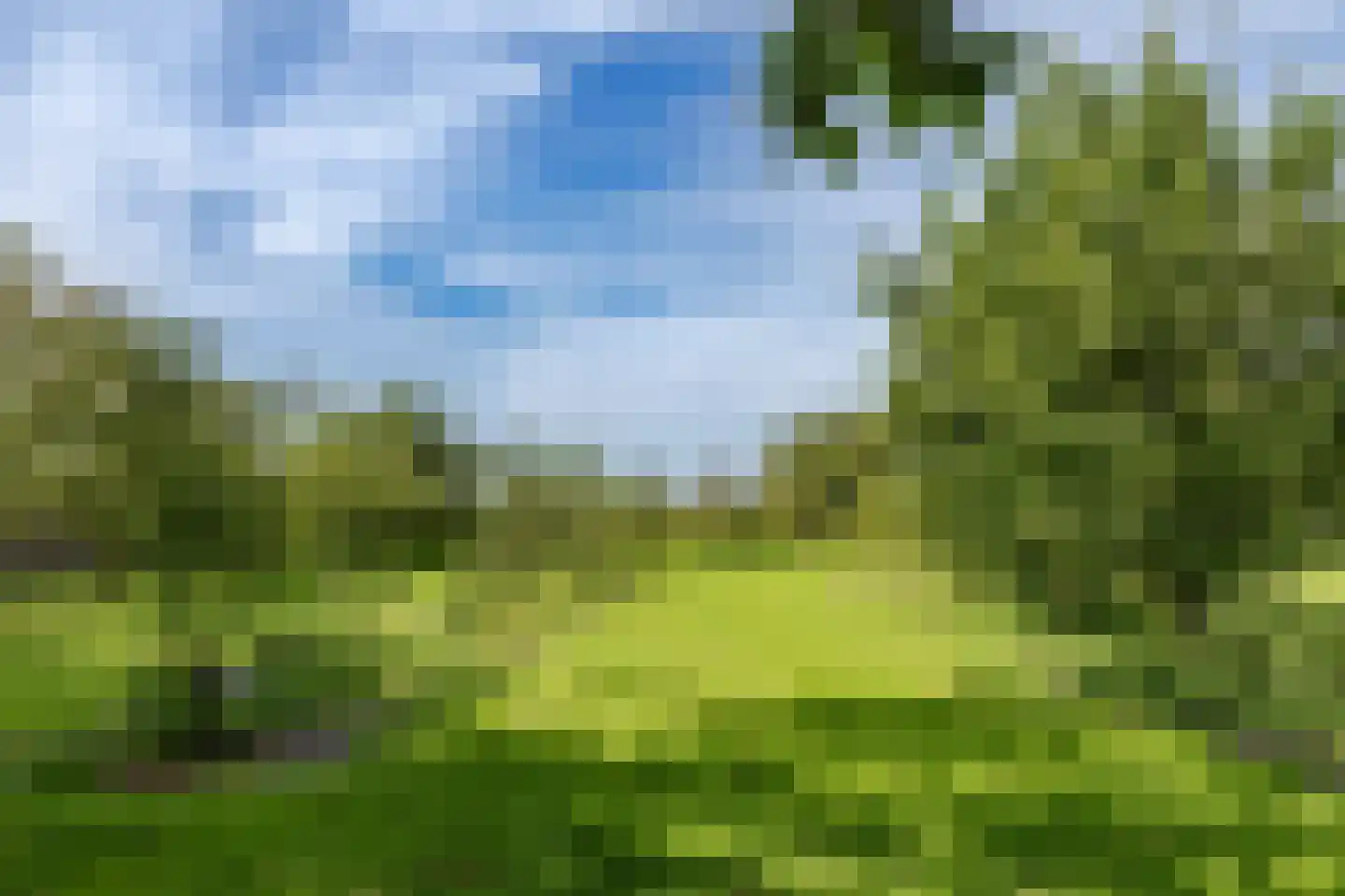 Zwaagdijk 16 Zwaagdijk-Oost thumbnail 35