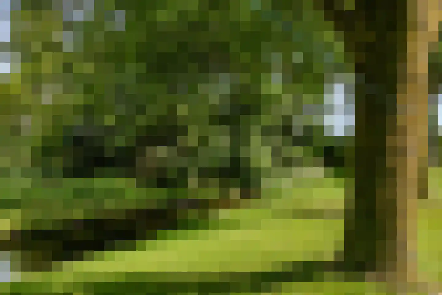 Zwaagdijk 16 Zwaagdijk-Oost thumbnail 36