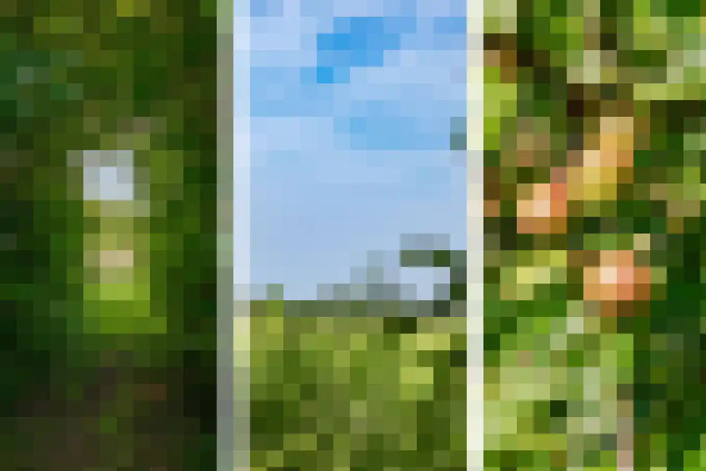 Zwaagdijk 16 Zwaagdijk-Oost thumbnail 37