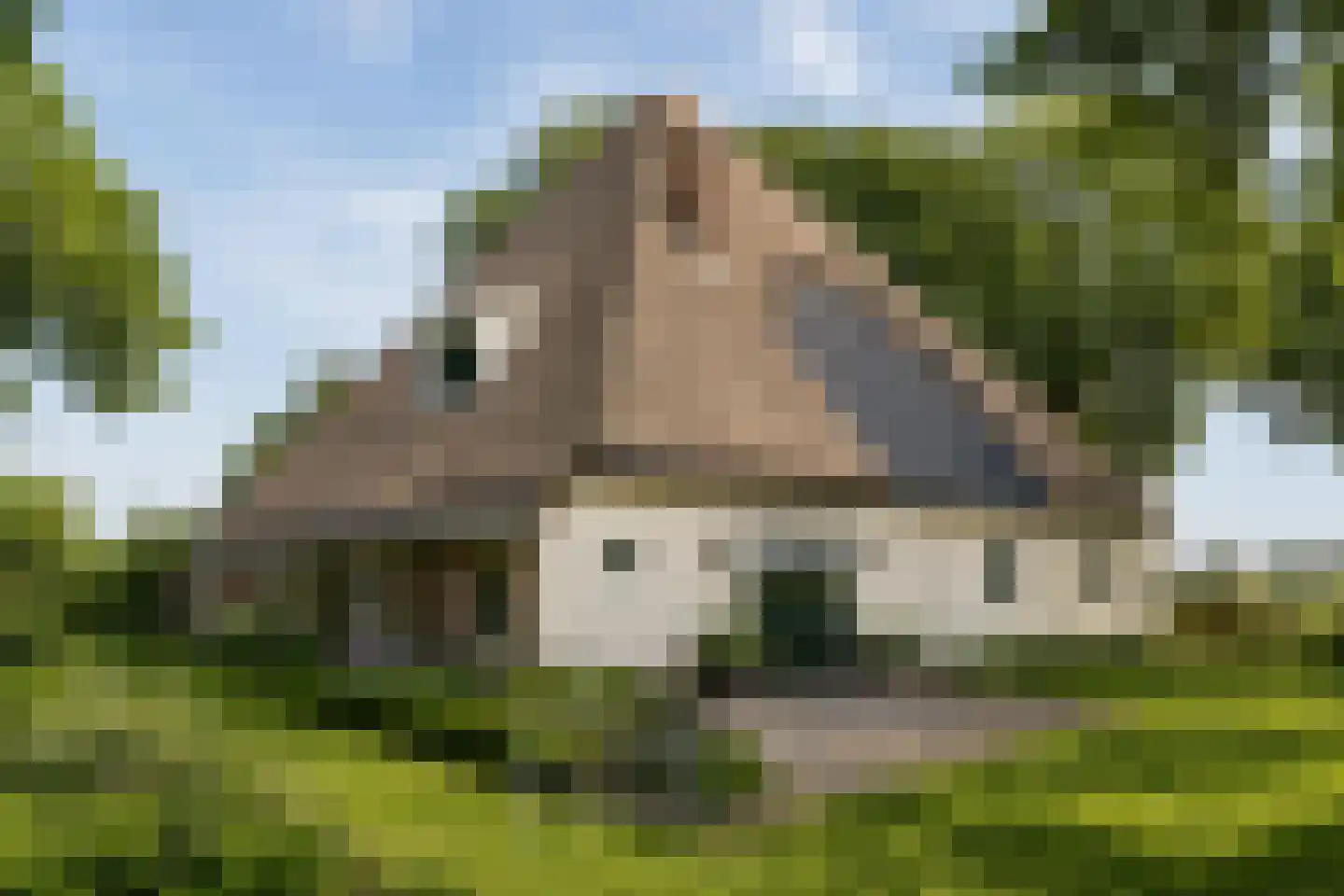 Zwaagdijk 16 Zwaagdijk-Oost thumbnail 39
