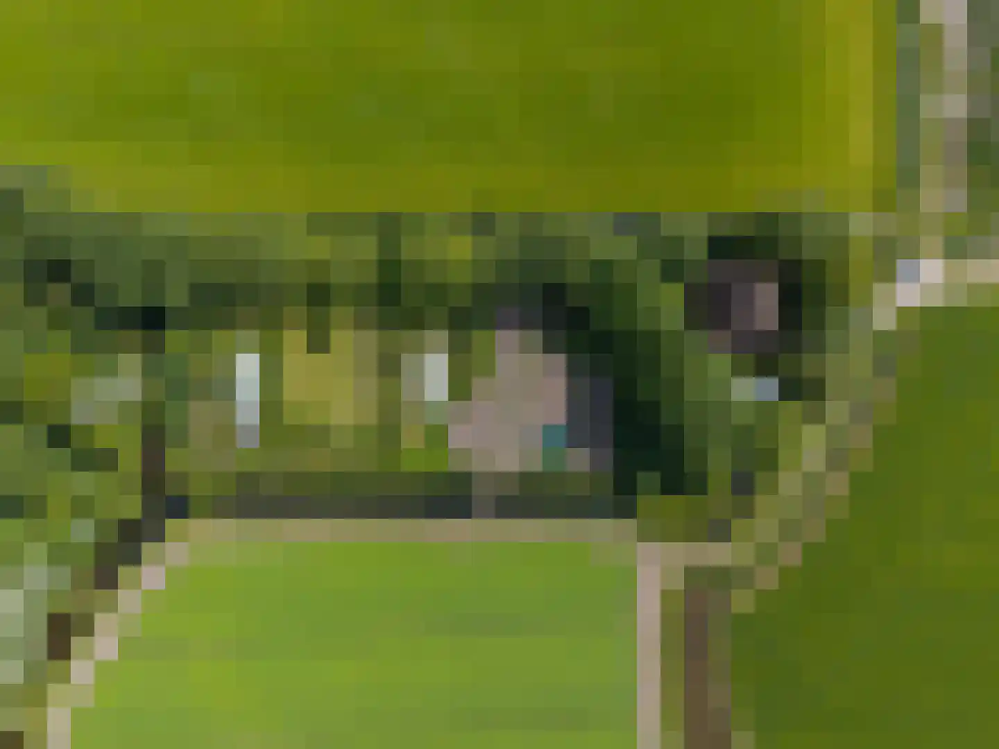 Zwaagdijk 16 Zwaagdijk-Oost thumbnail 4