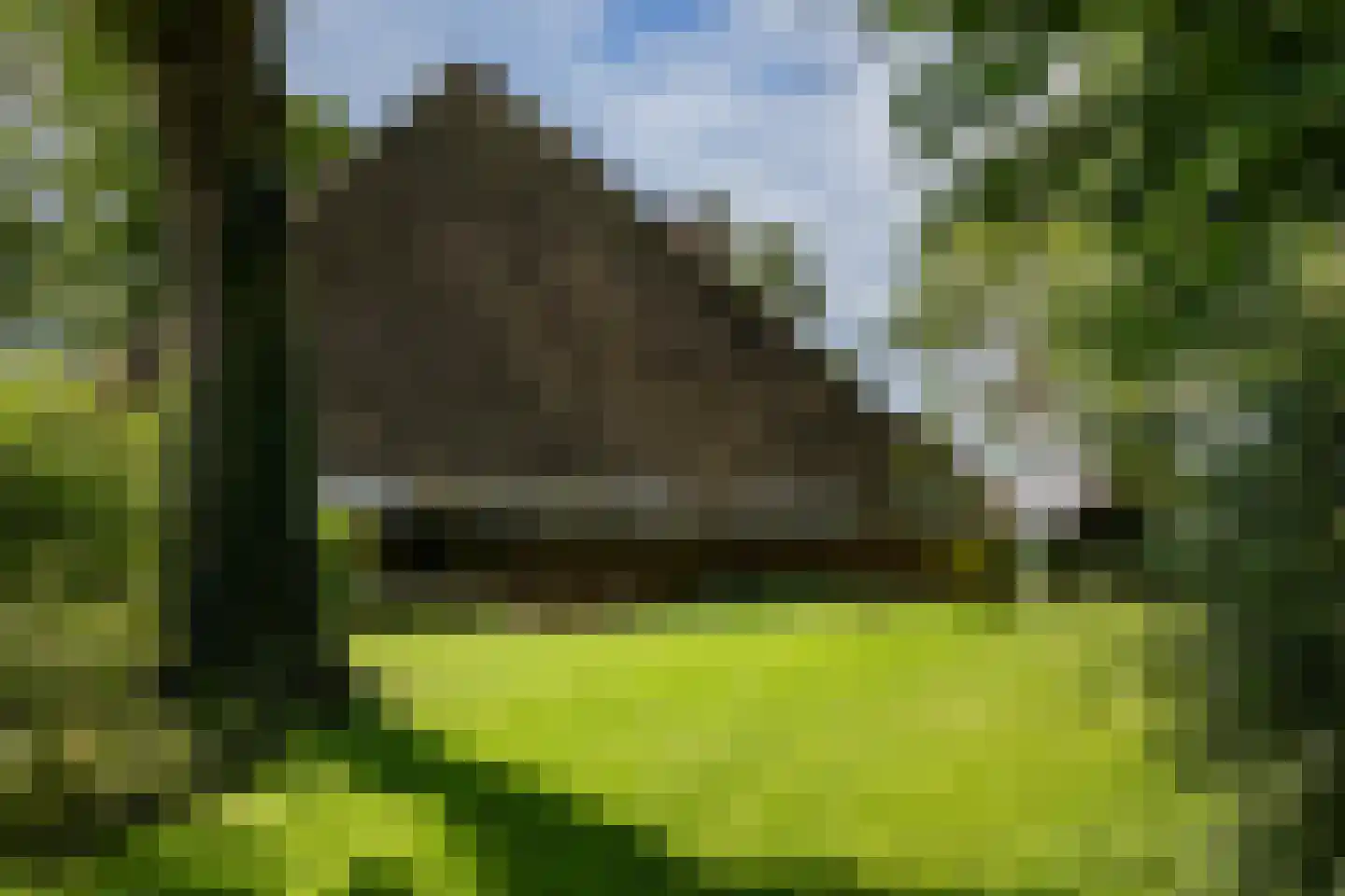 Zwaagdijk 16 Zwaagdijk-Oost thumbnail 40