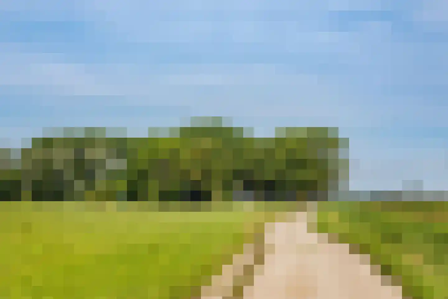 Zwaagdijk 16 Zwaagdijk-Oost thumbnail 5