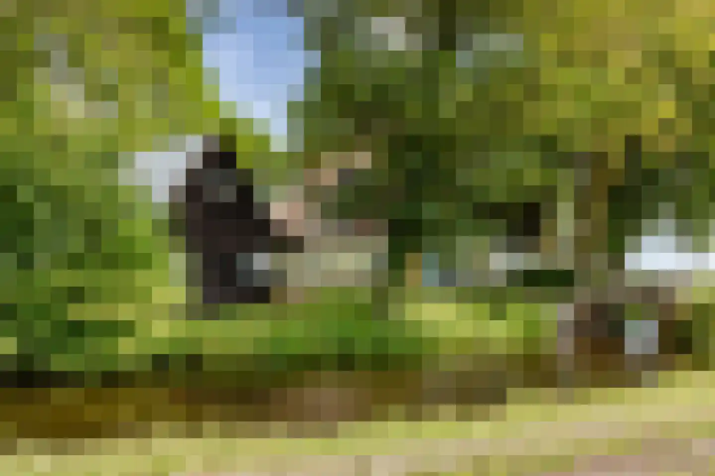 Zwaagdijk 16 Zwaagdijk-Oost thumbnail 6