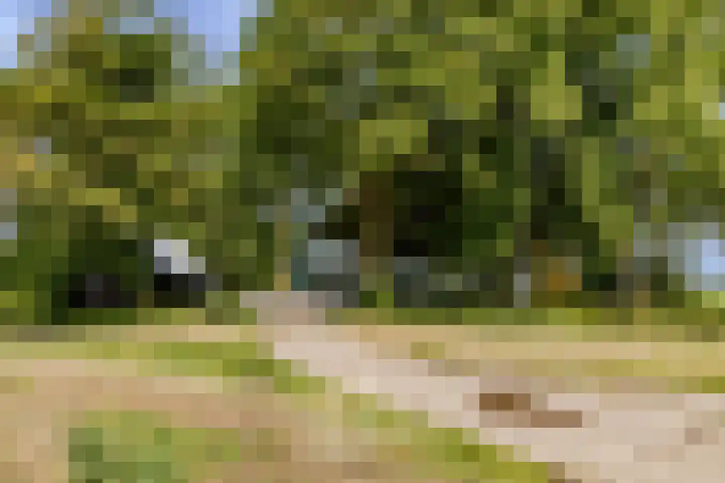 Zwaagdijk 16 Zwaagdijk-Oost thumbnail 7