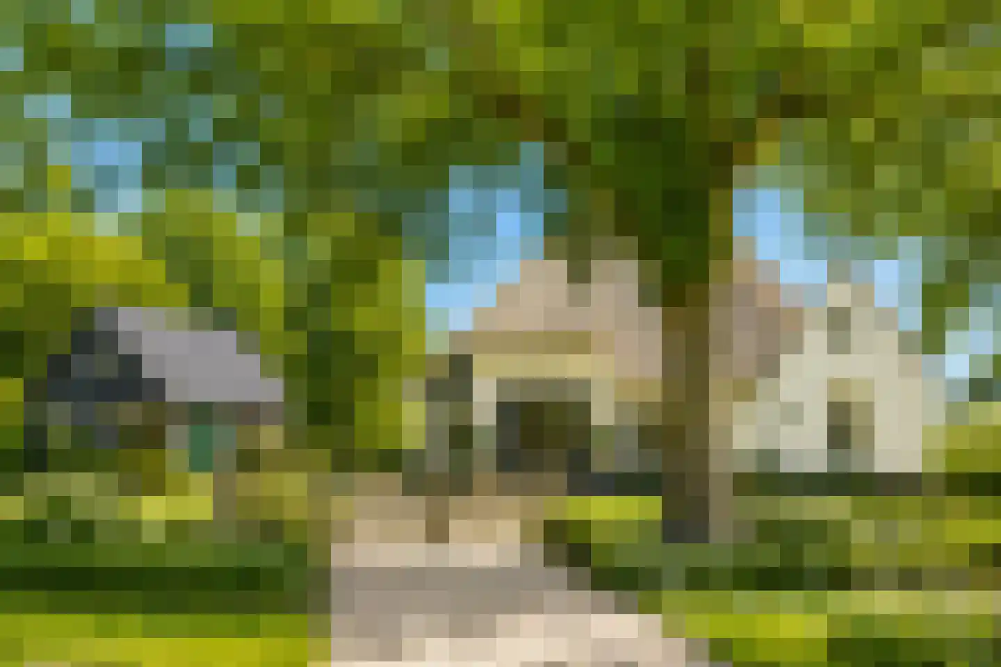 Zwaagdijk 16 Zwaagdijk-Oost thumbnail 8