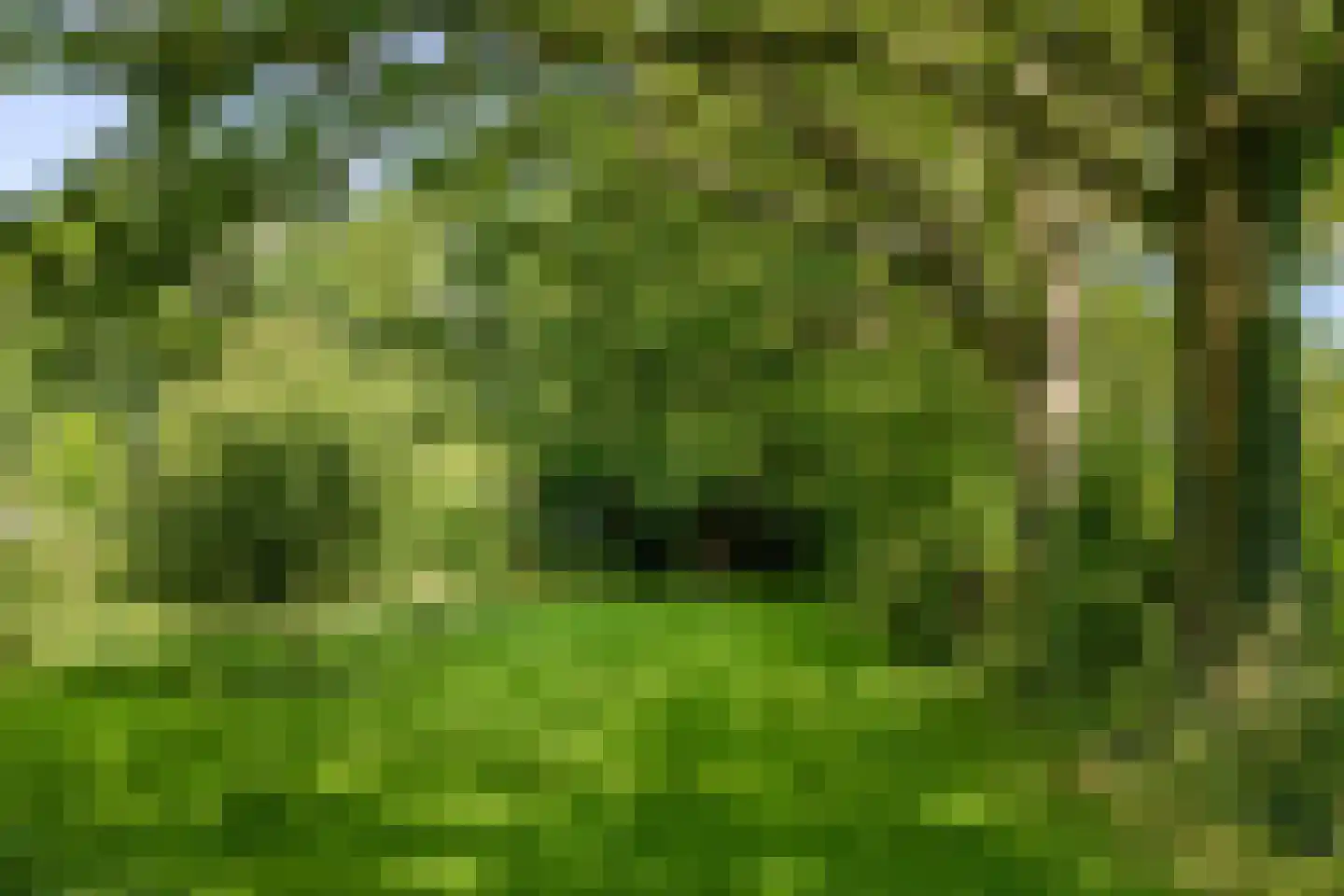Zwaagdijk 16 Zwaagdijk-Oost thumbnail 9