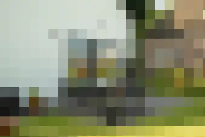 Zwaagdijk 192 Zwaagdijk-Oost thumbnail 30