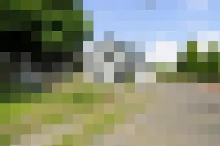 Zwaagdijk 192 Zwaagdijk-Oost thumbnail 6