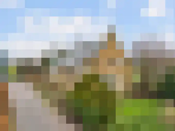 Zwaagdijk 202 Zwaagdijk-Oost thumbnail 40