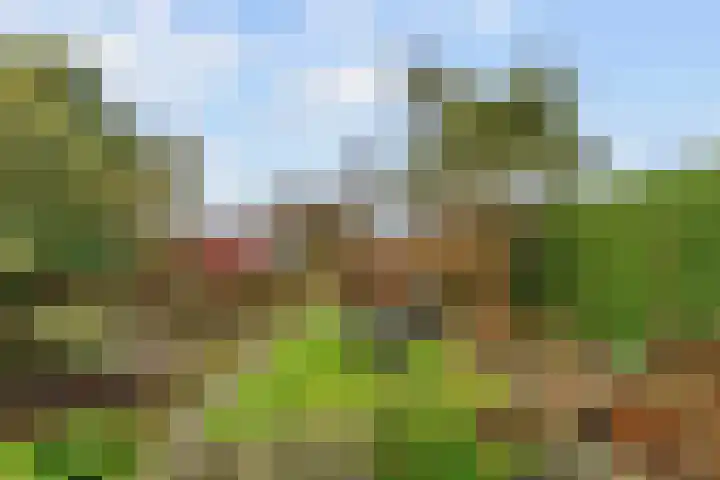 Zwaagdijk 202 Zwaagdijk-Oost thumbnail 45