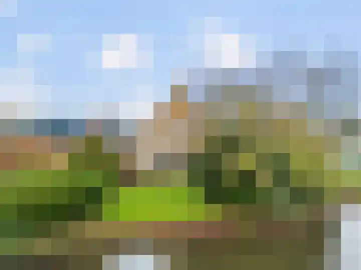 Zwaagdijk 202 Zwaagdijk-Oost thumbnail 5