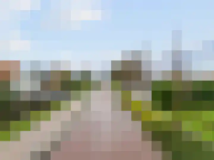 Zwaagdijk 202 Zwaagdijk-Oost thumbnail 51