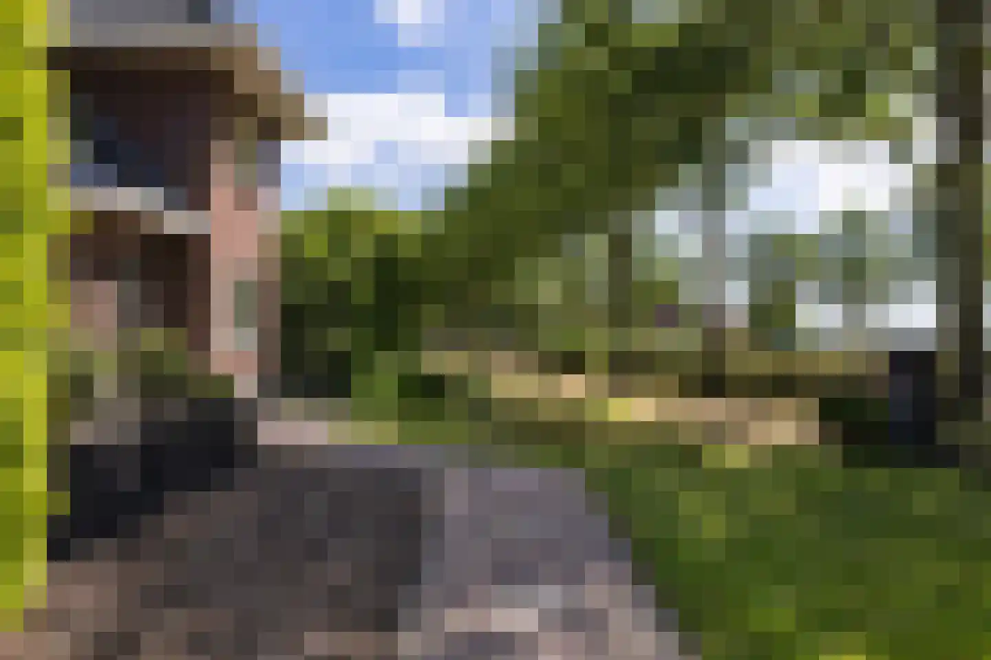 Zwaagdijk 270 Zwaagdijk-Oost thumbnail 24