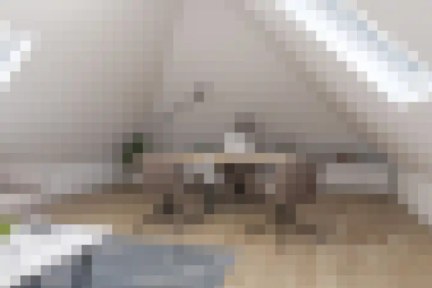 Zwaagdijk 270 Zwaagdijk-Oost thumbnail 33