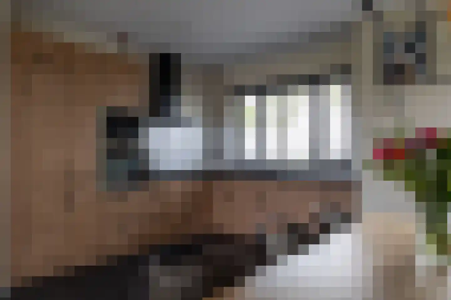 Zwaagdijk 270 Zwaagdijk-Oost thumbnail 7