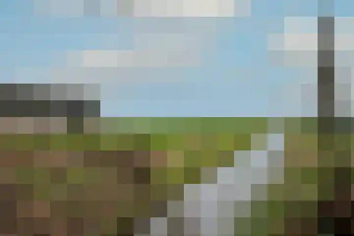 Zwaagdijk 297 Zwaagdijk-Oost thumbnail 10