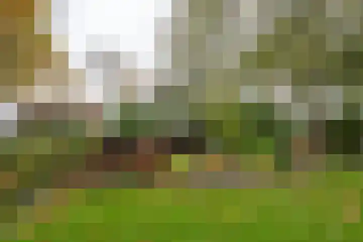 Zwaagdijk 297 Zwaagdijk-Oost thumbnail 11
