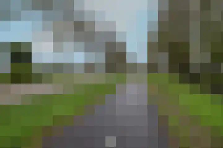 Zwaagdijk 297 Zwaagdijk-Oost thumbnail 33