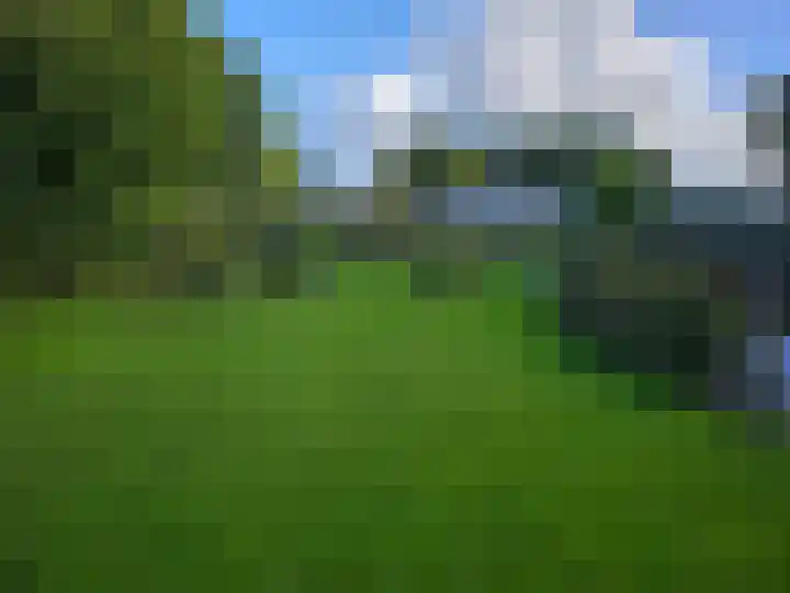 Zwaagdijk 297 Zwaagdijk-Oost thumbnail 35