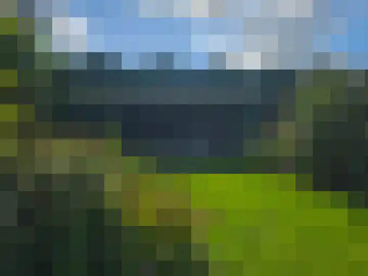Zwaagdijk 297 Zwaagdijk-Oost thumbnail 39