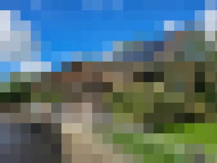 Zwaagdijk 297 Zwaagdijk-Oost thumbnail 4