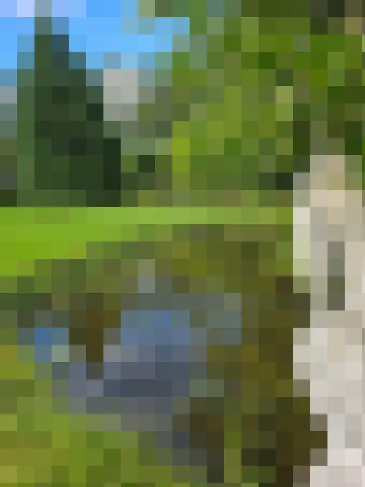Zwaagdijk 297 Zwaagdijk-Oost thumbnail 40