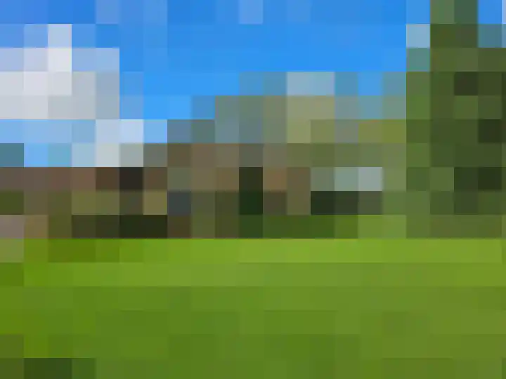 Zwaagdijk 297 Zwaagdijk-Oost thumbnail 41
