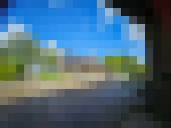 Zwaagdijk 297 Zwaagdijk-Oost thumbnail 42