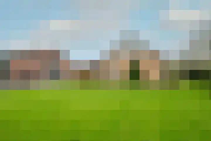 Zwaagdijk 297 Zwaagdijk-Oost thumbnail 5