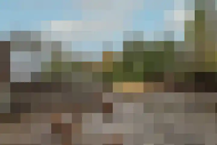 Zwaagdijk 297 Zwaagdijk-Oost thumbnail 8