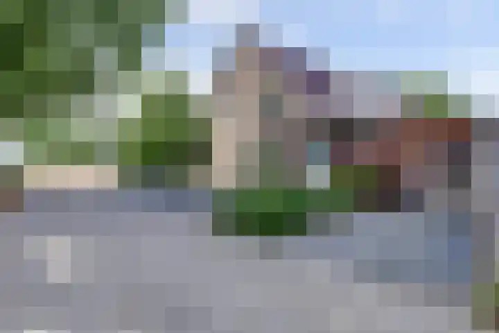 Zwaagdijk 314 Zwaagdijk-Oost thumbnail 4